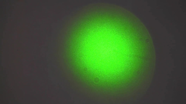 thumbnail of medium Laserspeckels-Kohärenz