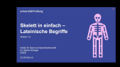 thumbnail of medium Skelett in einfach_Lateinische Begriffe